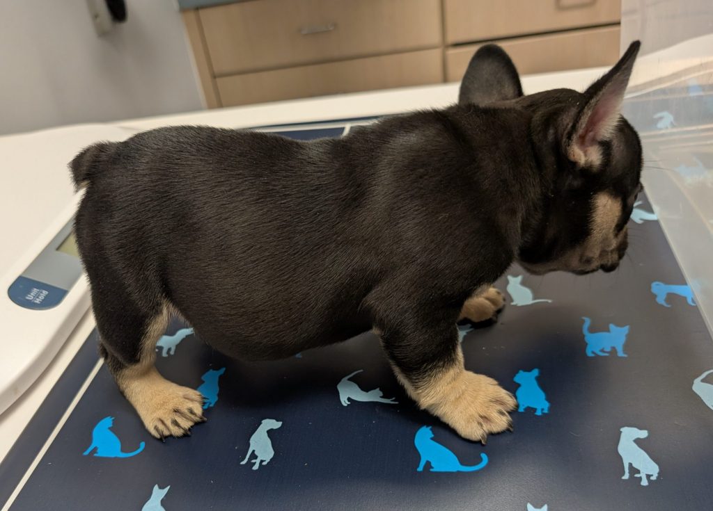 1st vaccine