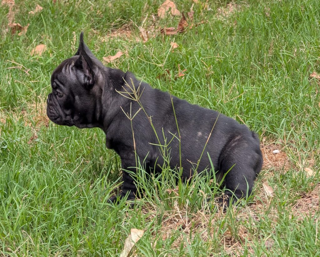 being lazy, loving the outdoors